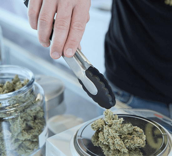 Buy Medical Marijuana Strain Online